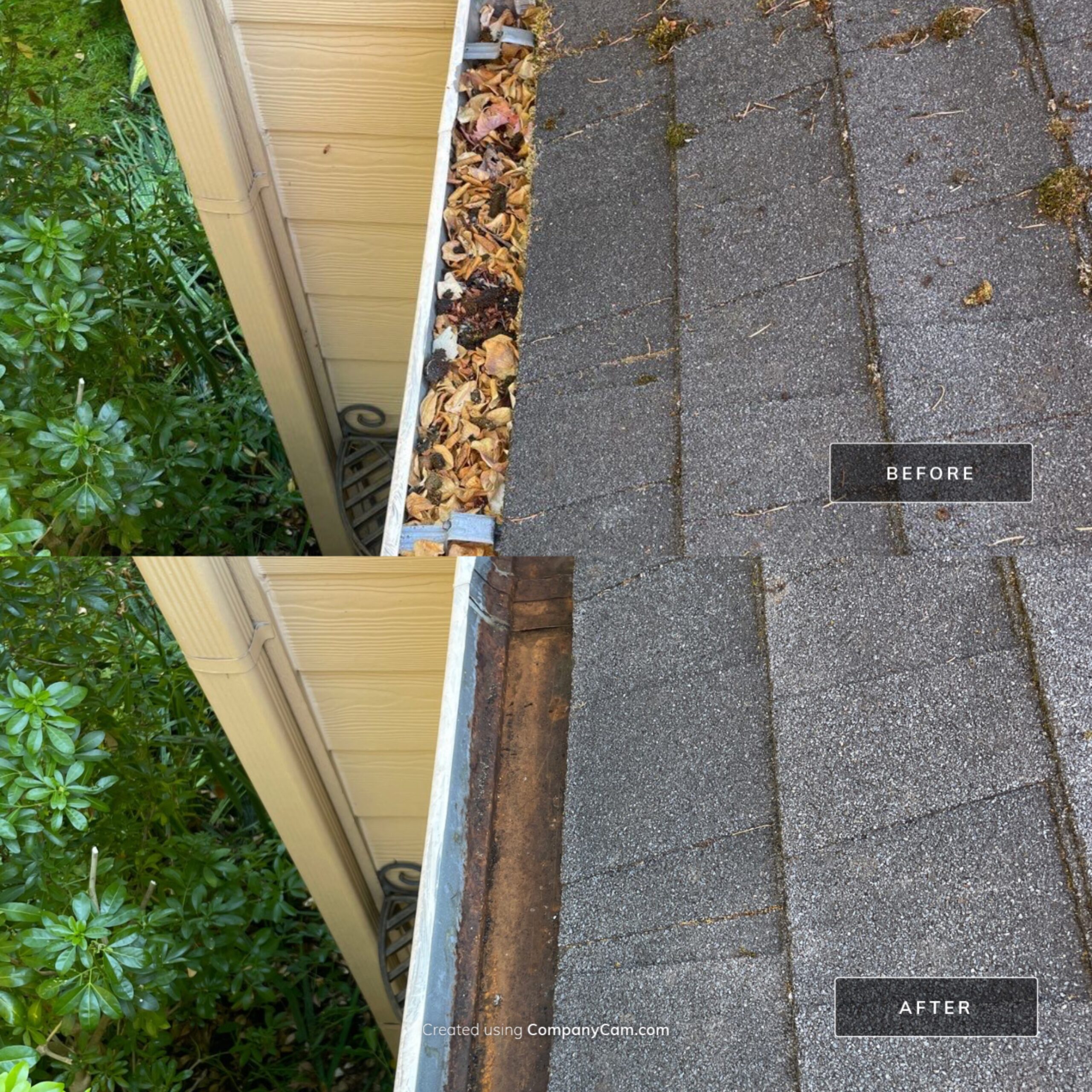 local-home-services-img