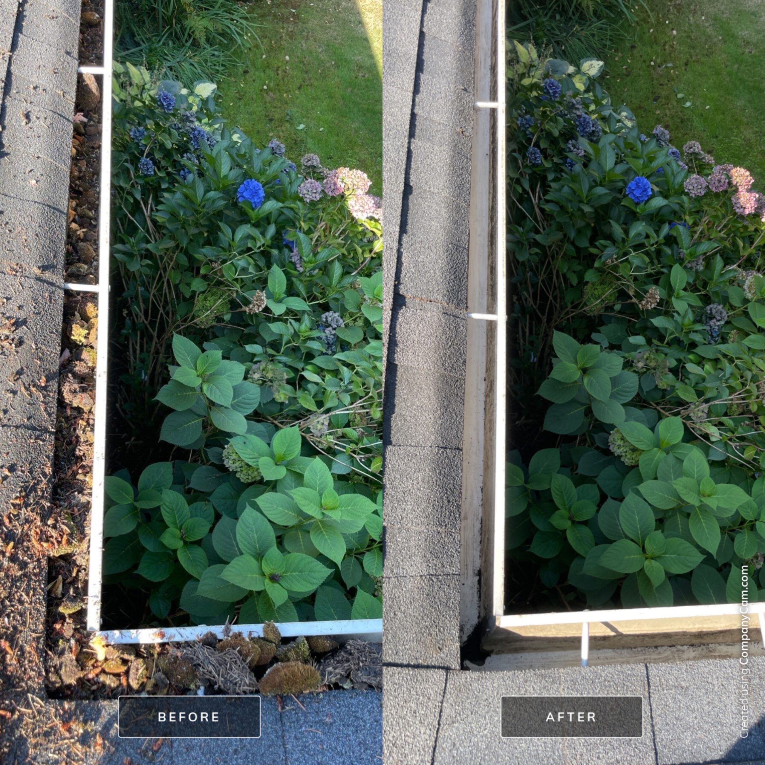 local-home-services-img