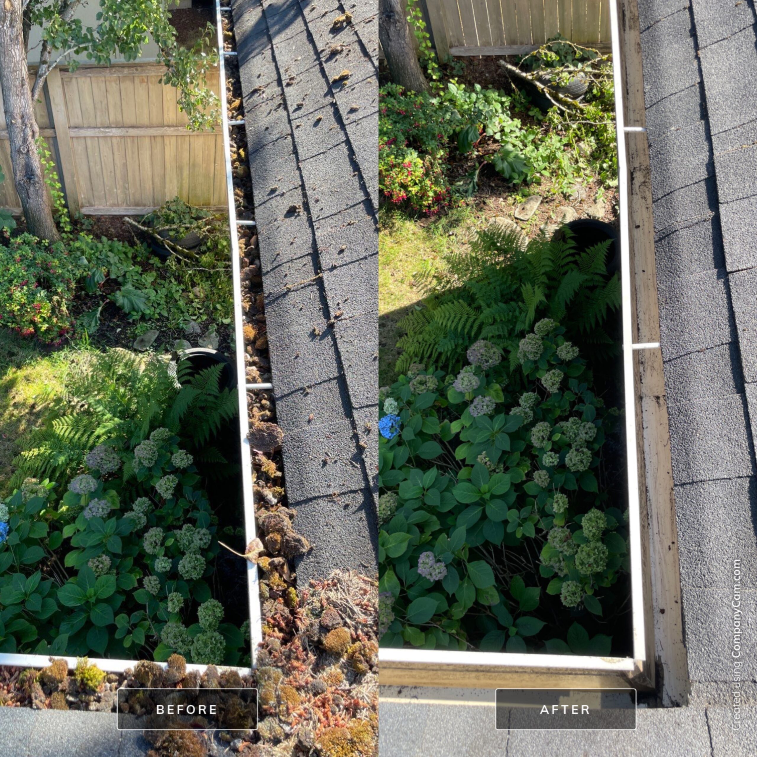 local-home-services-img