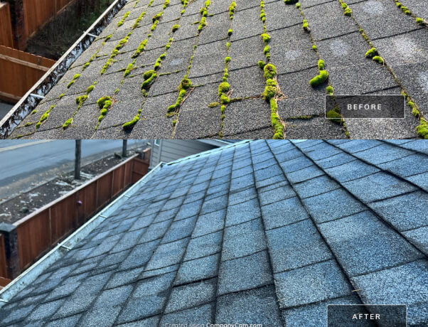 local-home-services-img